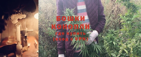СК Арсеньев