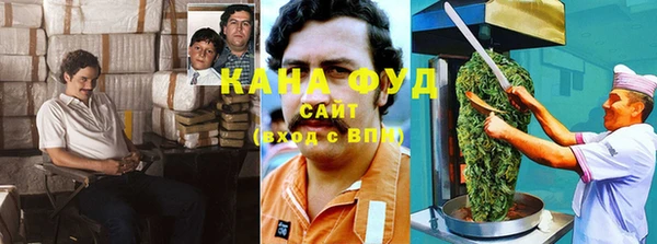 Альфа ПВП Аркадак