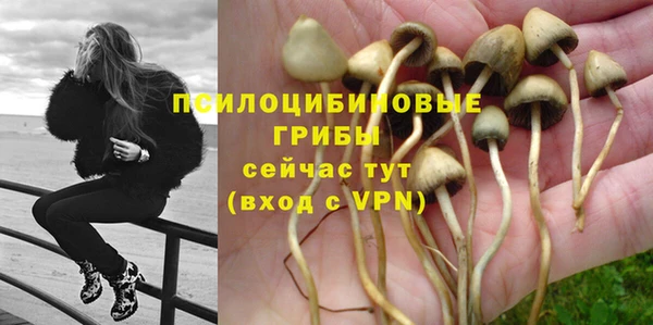 СК Арсеньев