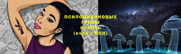 spice Армянск