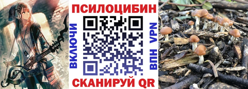 Купить Томари Псилоцибиновые грибы Cubensis